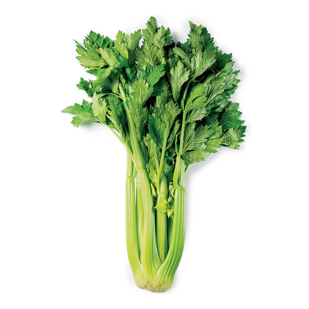 Celery leafy (Each)