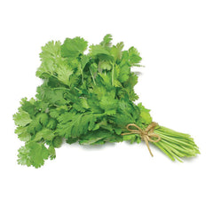 Coriander