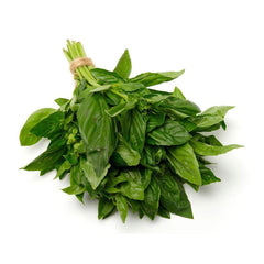 Basil