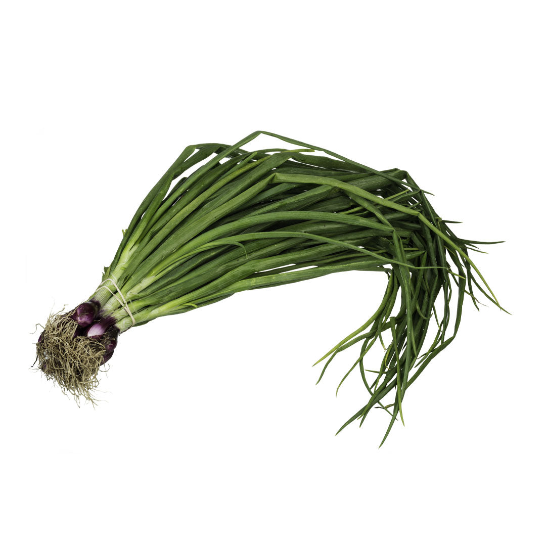 Spring Onion