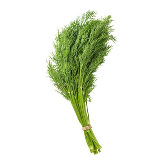 Dill