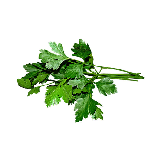 Parsley One Bunch