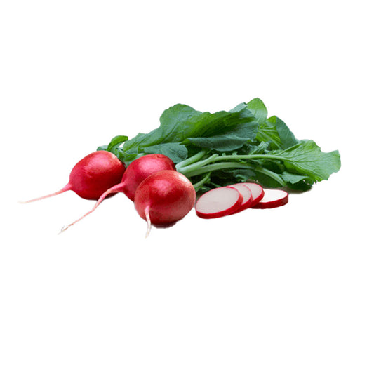 Radish (Bunch)