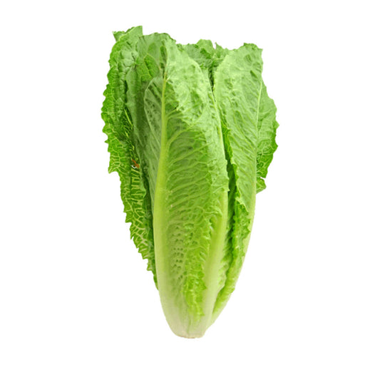 Lettuce Each