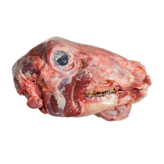 LAMB HEAD - 1PC