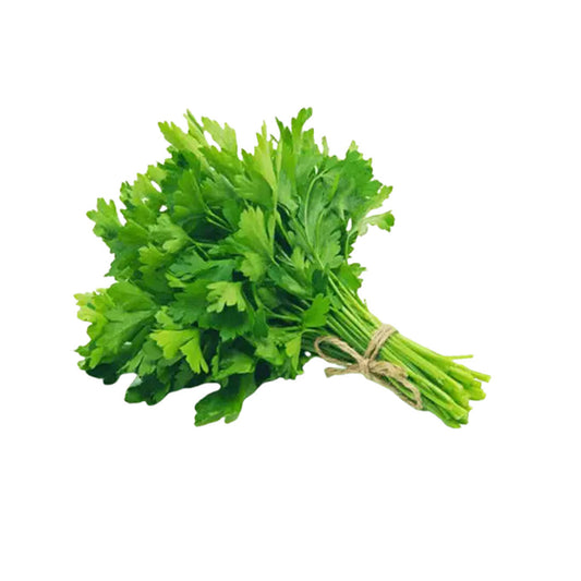 Coriander 1 bunch