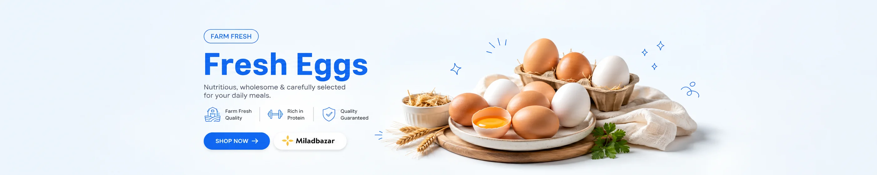 egg